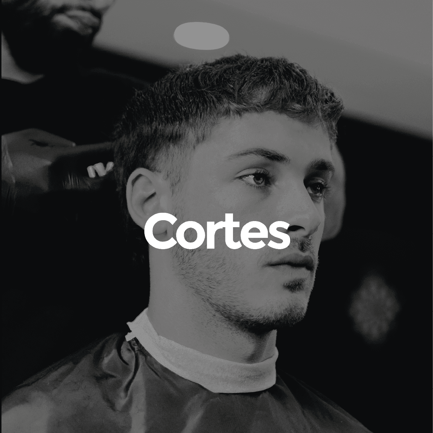 Cortes